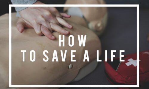 First Aid CPR Level A